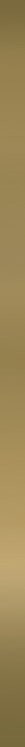 Paradyz Classica Uniwersalna Listwa Metalowa Oro Profil 2x60