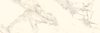 Paradyz Serene Bianco 25x75 matt csempe 