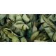 Paradyz Uniwersalne Inserto Szklane Leaf A 30x60 