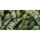 Paradyz Uniwersalne Inserto Szklane Leaf B 30x60