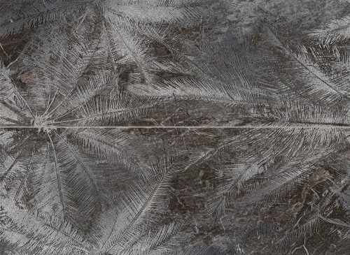 Tubadzin Sedona Palms 2-részes 65,8x89,8 Fali Dekoráció